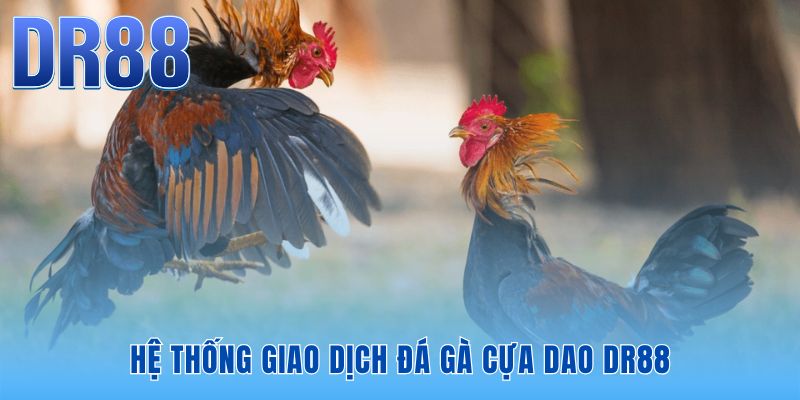 Quy trình giao dịch tốc độ cao giúp dòng tiền luân chuyển nhịp nhàng